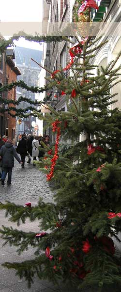 Die Umgebung vom Gasthaus Rübezahl