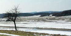 Die Umgebung vom Gasthaus Rübezahl